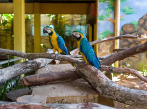 蘭卡威野生動物園