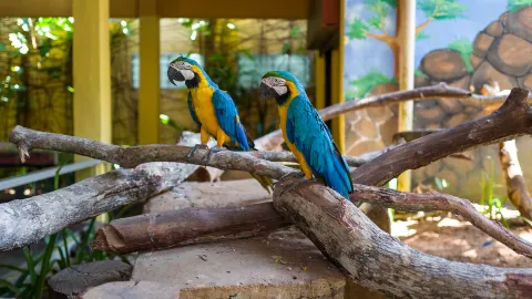 Langkawi Wildlife Park attraction in ลังกาวี