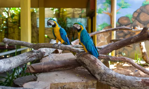 Langkawi Wildlife Park