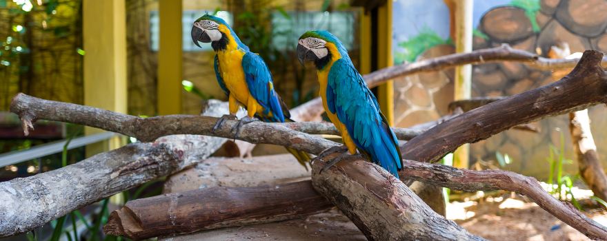 Langkawi Wildlife Park