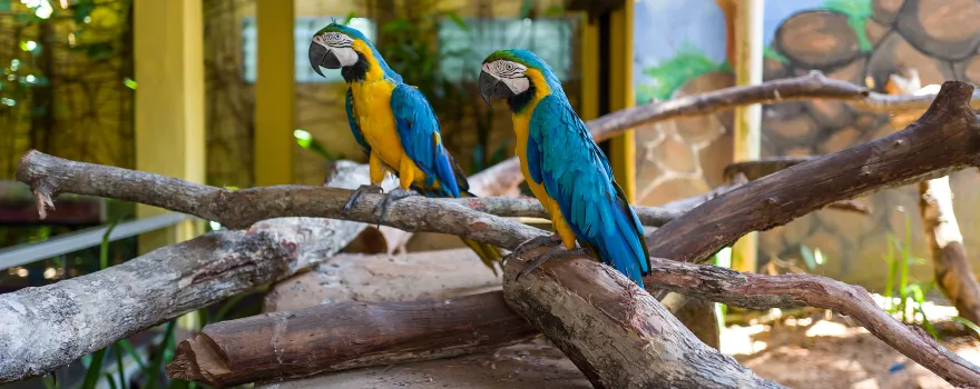 Langkawi Wildlife Park