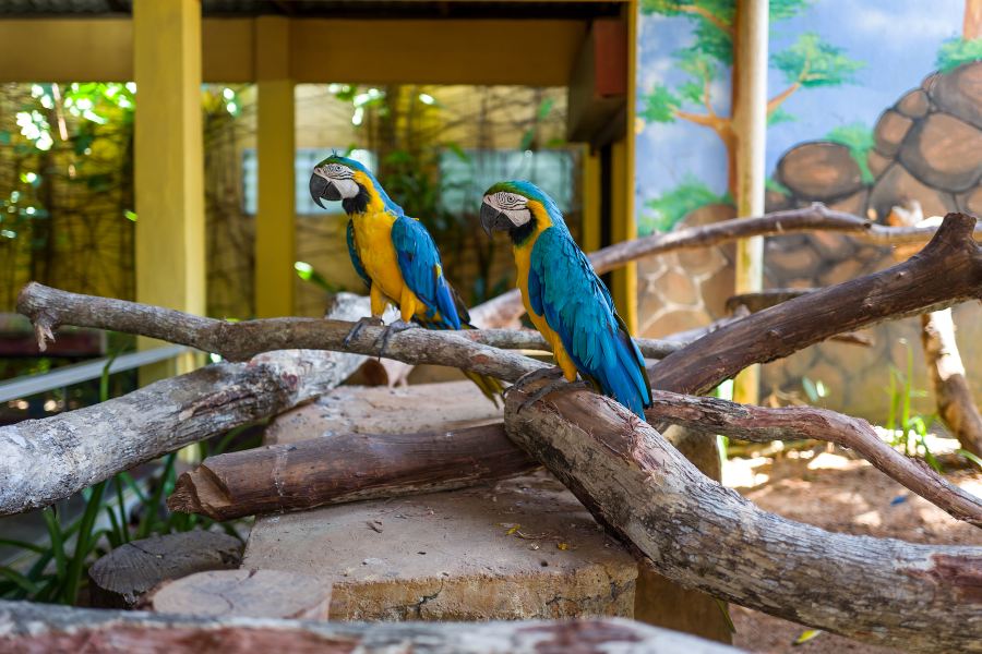 蘭卡威野生動物園