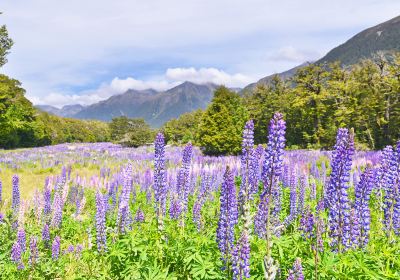 Southland Region