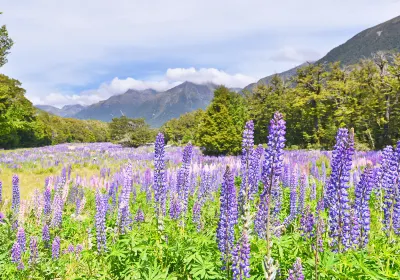 Southland