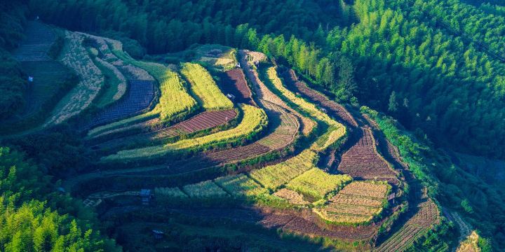 Nanjian Rock Scenic Area