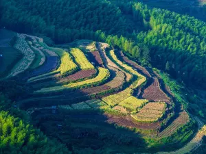 Nanjian Rock Scenic Area