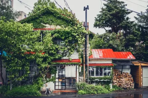 Morihico Coffee