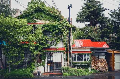 모리히코