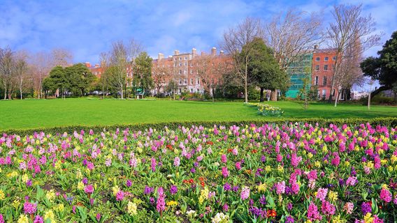 Merrion Square South