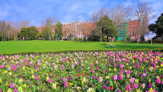 Merrion Square South