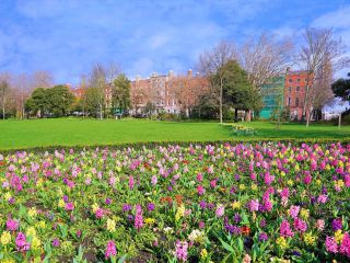 Flugzeit Malta nach Dublin