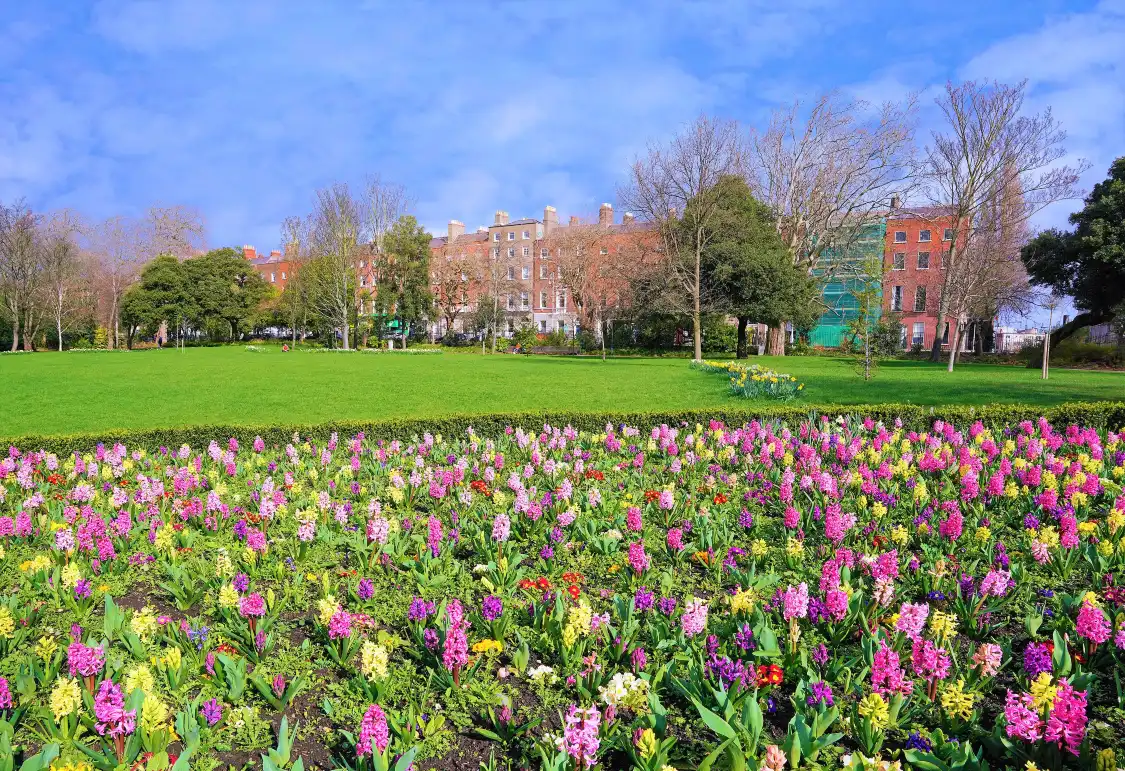 Hotel in zona Merrion Square