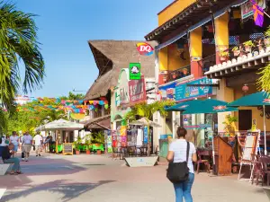 Quinta Avenida