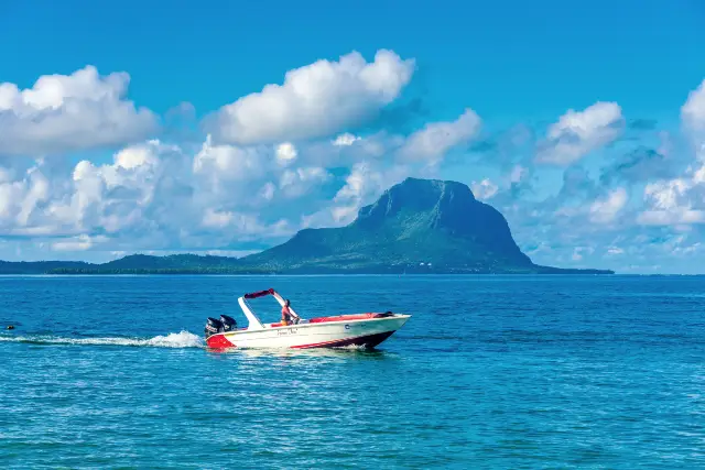 Dolphin Watching in Mauritius