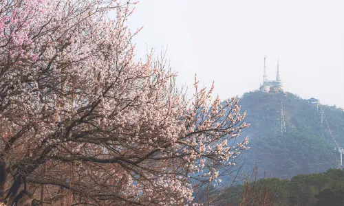 Lotus Hill Viewing Tower