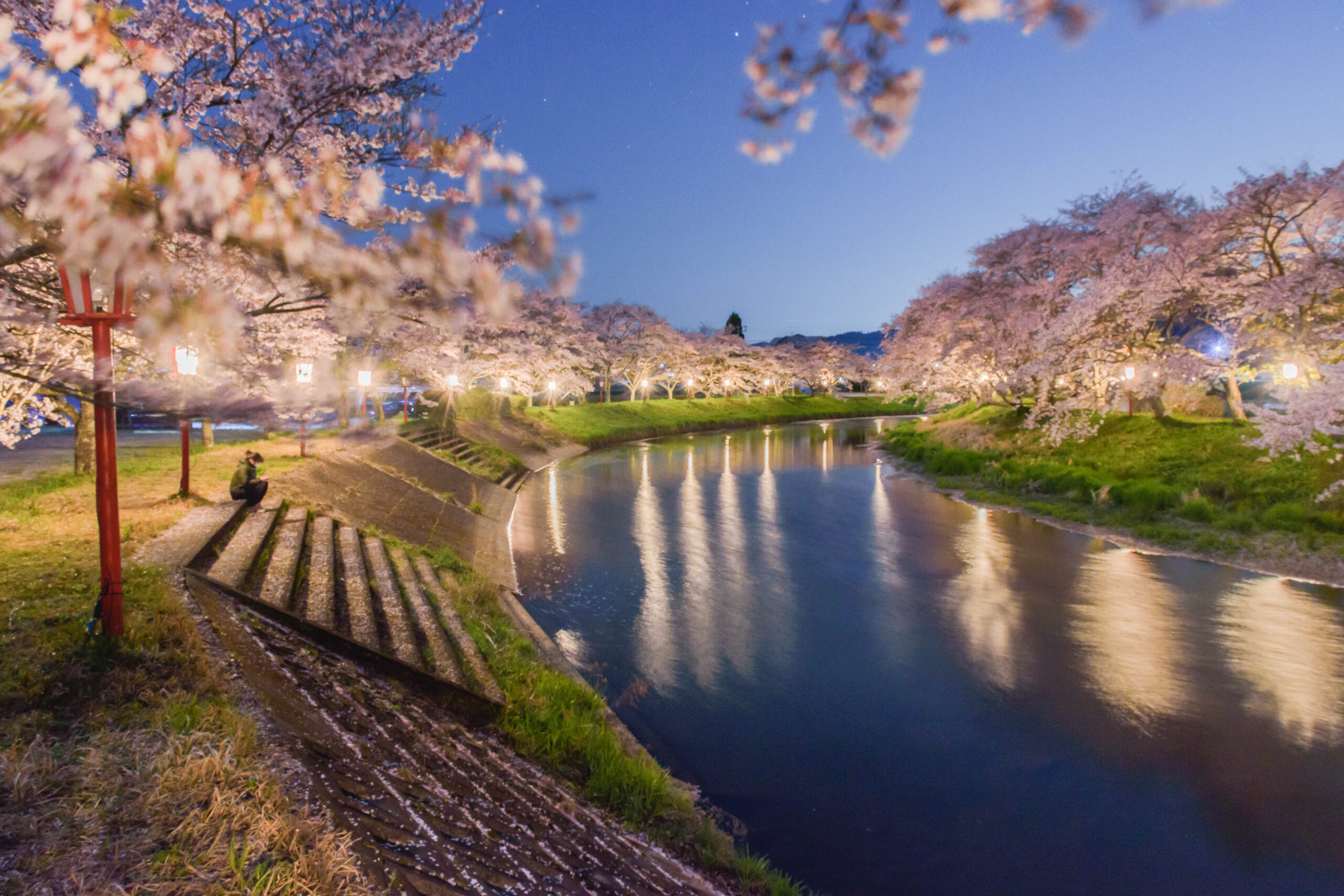 Uda River Cherry Blossom Promenade Illumination | Uda