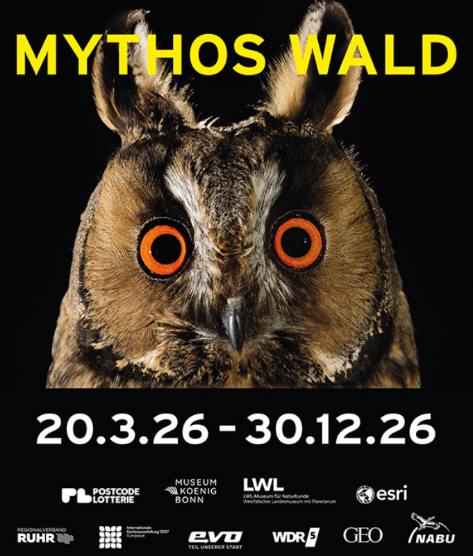 Forest Worlds | Gasometer