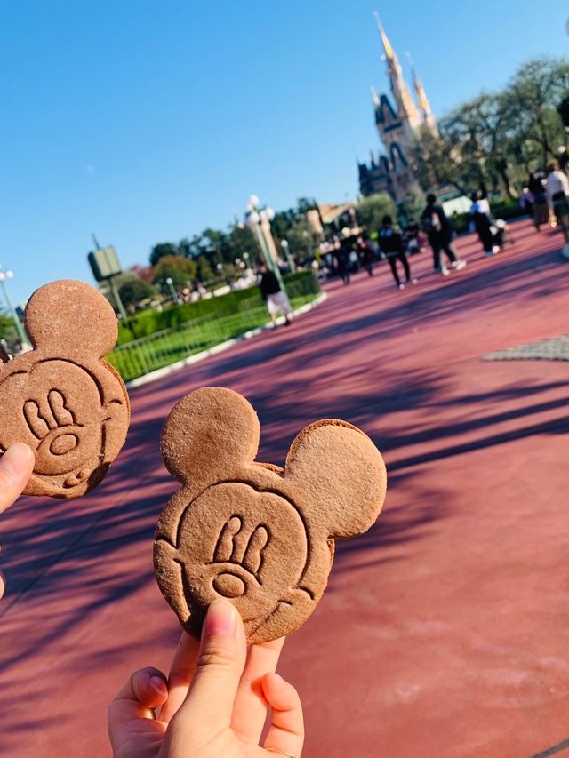 【千葉】ディズニーランド