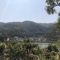 #親子游#慢步馬鞍山至榕樹澳村欣賞紅樹林