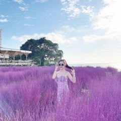 Papa Beach Pattaya User Photo