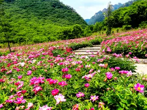 Dandong Tianqiaogou Scenic Area