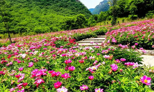Dandong Tianqiaogou Scenic Area