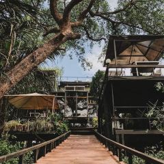 The Tree House User Photo