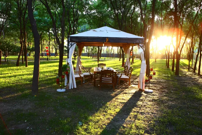 Farm Stays in Beihai
