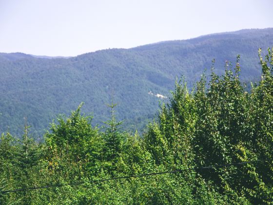 Wild River Mountain Scenic Area