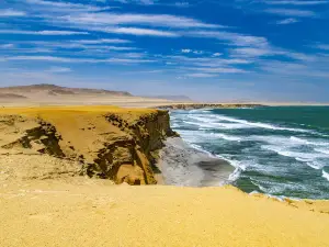 Reserva Nacional de Paracas