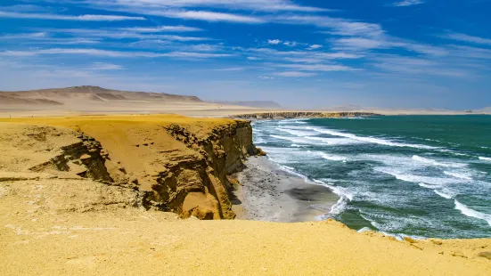 Reserva Nacional de Paracas