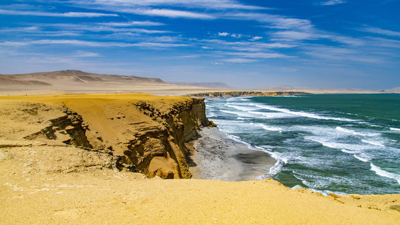 Reserva Nacional de Paracas