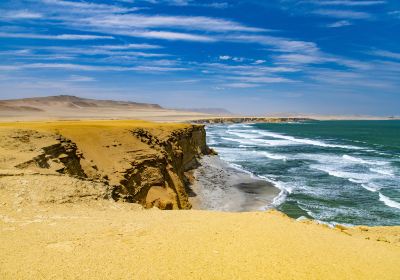 Reserva Nacional de Paracas