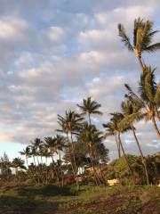 Friday Night Fireworks at Hilton Hawaiian Village Waikiki Beach Resort