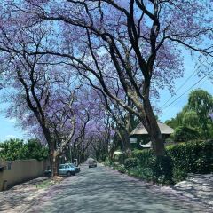 Westcliff Deli User Photo