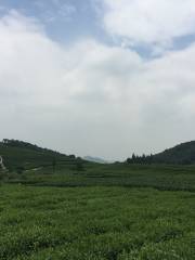 Hangzhou Daqing Valley