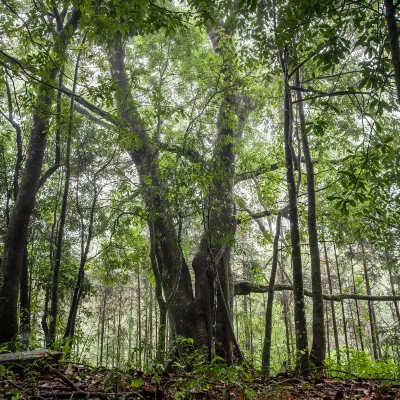 Пляж Отели в г. Басселтон
