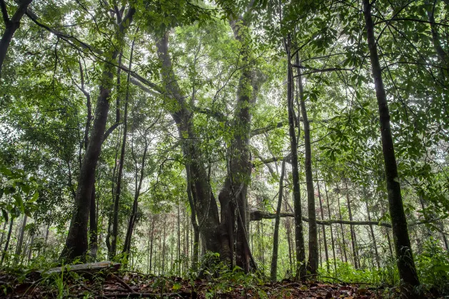 Пляж Отели в г. Перт