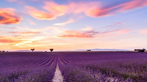 Provence