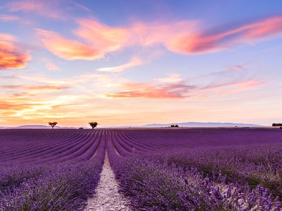 Provence