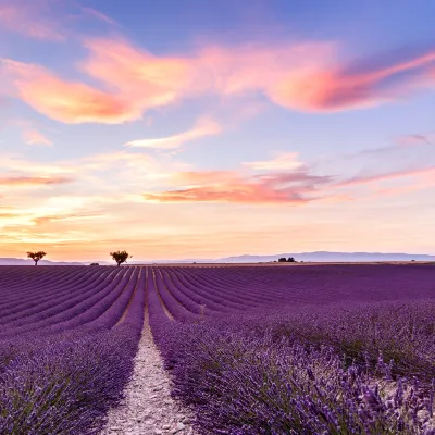 Отзывы об отеле Villa Victor Hugo by Odomo