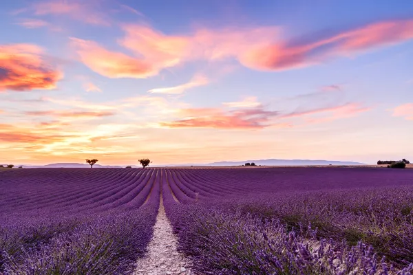 Aix-en-Provence to New York Flights