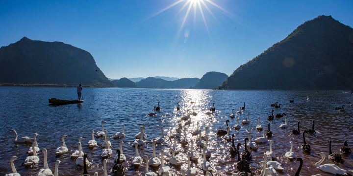 Puzhehei Swan Lake