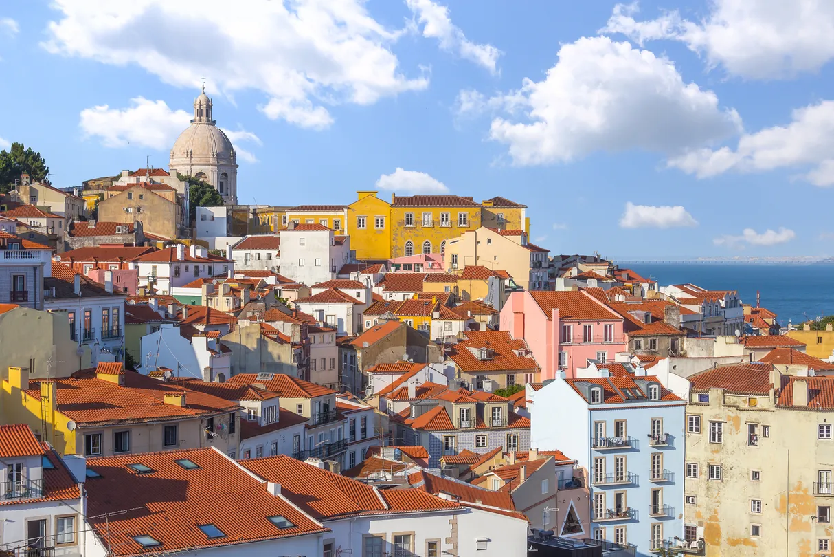 3_อัลฟามา