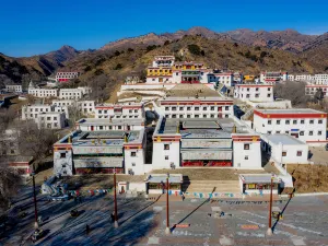 Wudangzhao