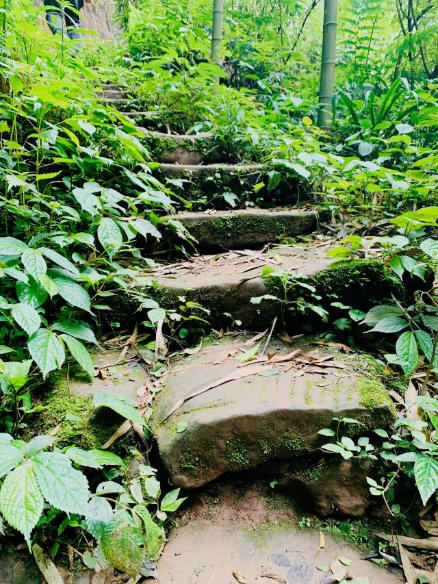 Bamboo Canyon Scenic Area (Jinji Valley)