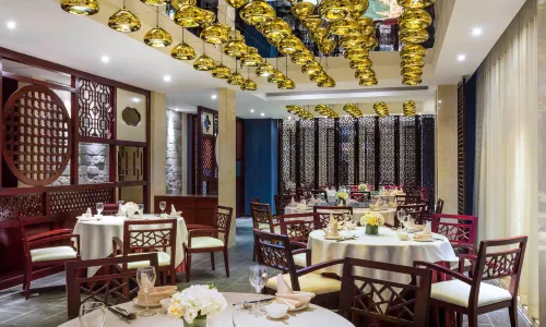 CHINESE PARADISE