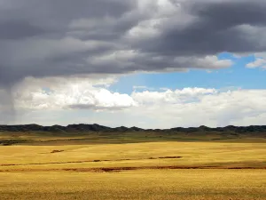 Urat Grassland