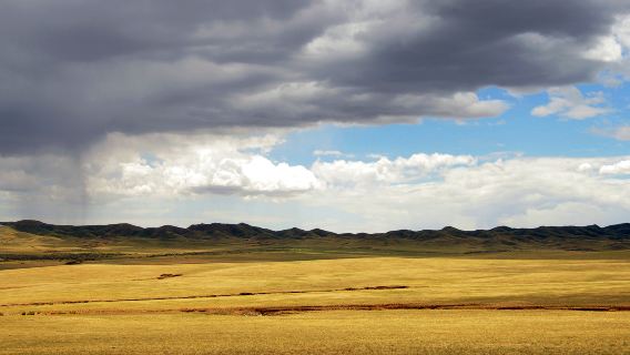 Urat Grassland