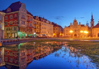 Timisoara